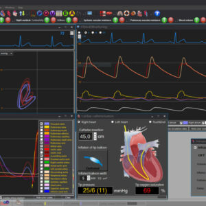 Aplysia CardioVascular Lab